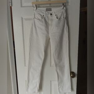 Everlane High Rise Straight jeans, 25R